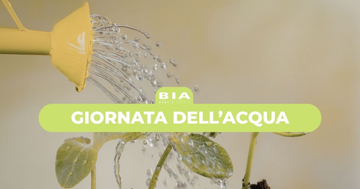 22 marzo: giornata mondiale dell'acqua