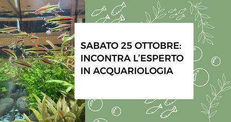 Sabato 25 ottobre: incontra l'esperto in acquariologia