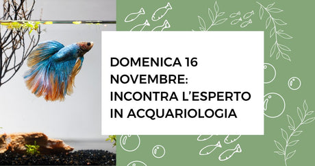 Domenica 16 novembre: incontra l'esperto in acquariologia