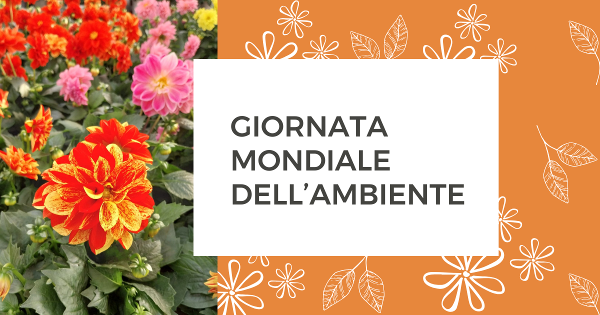 5 giugno Giornata mondiale dell'ambiente