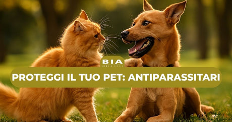 Proteggi il tuo pet: antiparassitari