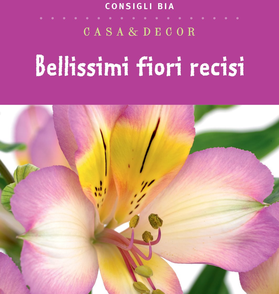 Bellissimi fiori recisi