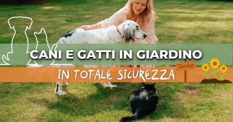 Cani e gatti in giardino: guida pratica per un'oasi sicura e felice per tutti