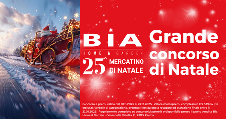 25° Mercatino di Natale: Grande concorso di Natale