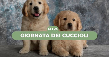 Puppy Day - Gionata dei cuccioli