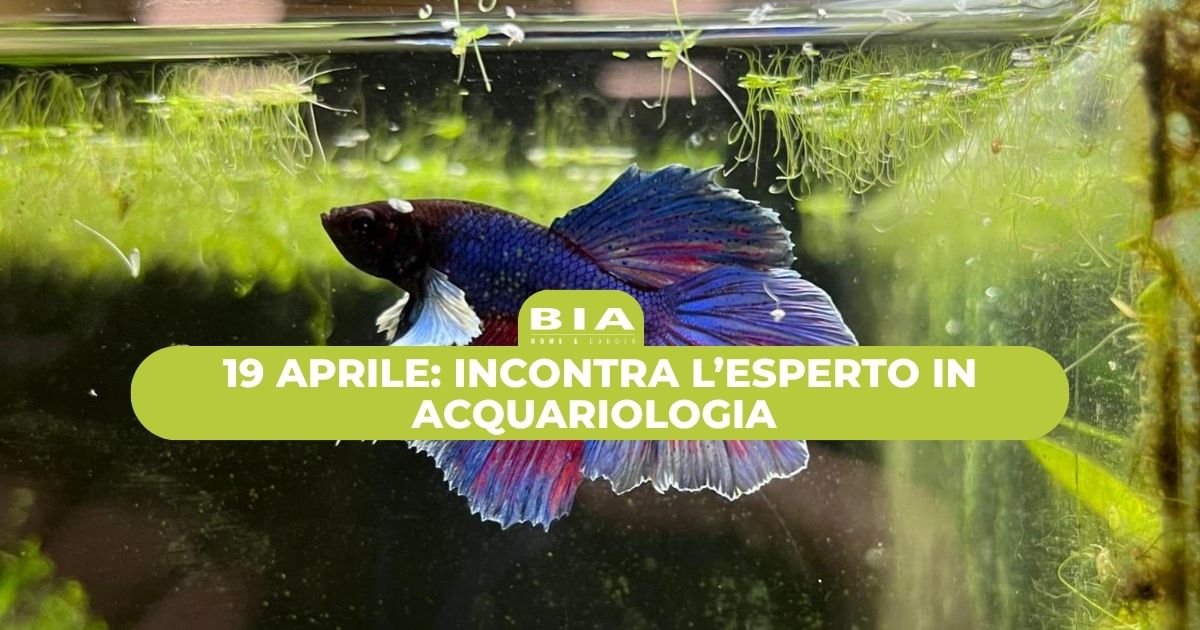 19 aprile: incontra l'esperto in acquariologia