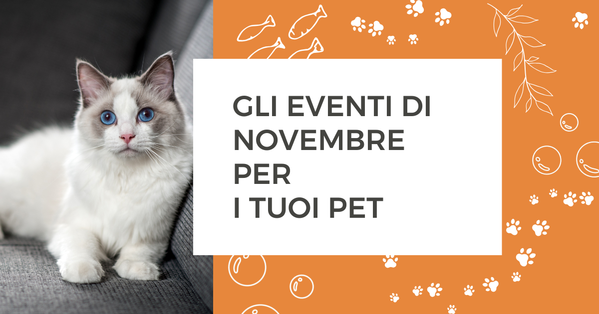 Gli eventi di novembre per i tuoi pet