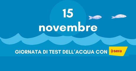 15 novembre: test dell'acqua con Sera