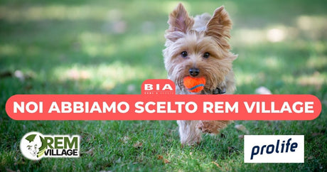 Noi abbiamo scelto Rem Village