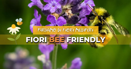 Quali sono i fiori melliferi? Un viaggio nel mondo del nettare e del polline