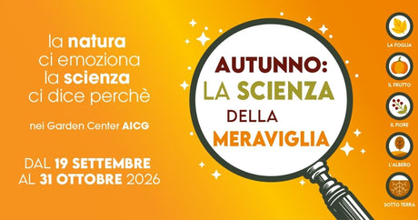 Garden Festival d'Autunno: scopri come far fiorire la magia dell'Autunno!