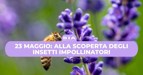 23 maggio: alla scoperta degli insetti impollinatori