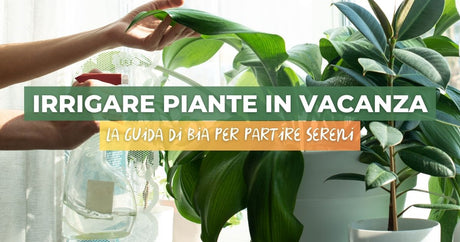 Per non fare morire le piante mentre sei in vacanza…