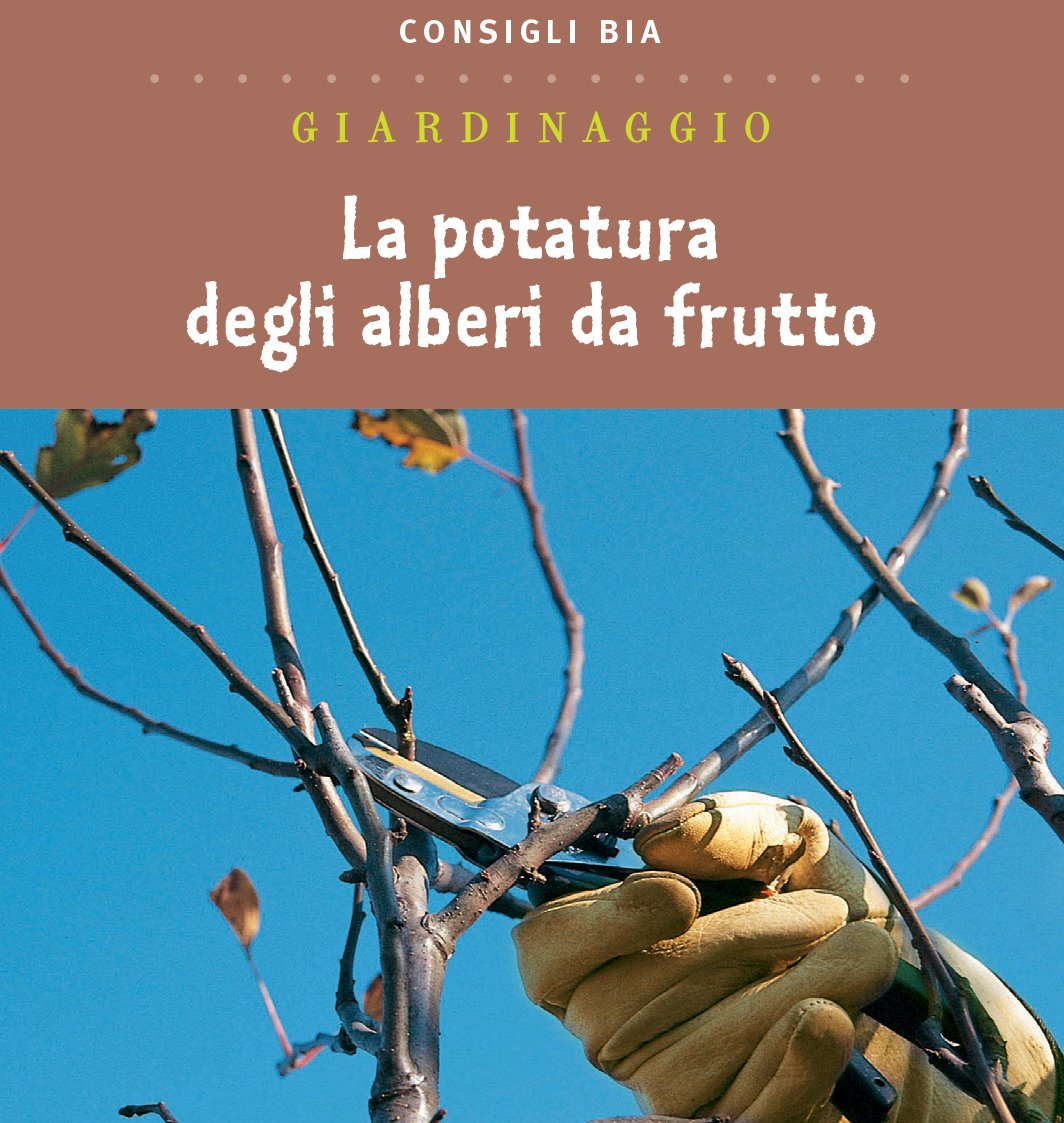 La potatura degli alberi da frutto