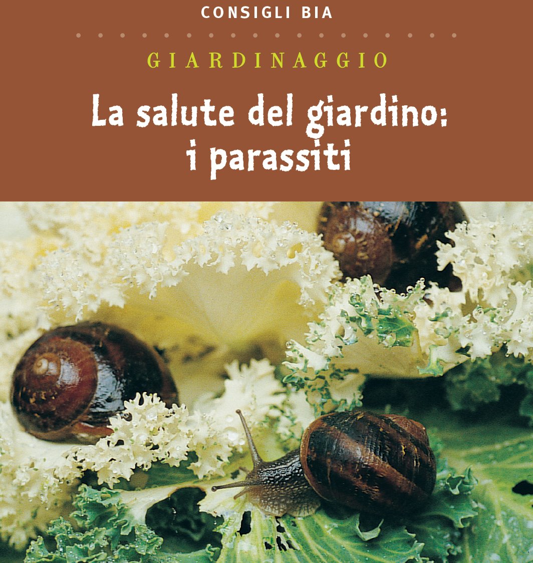 La salute del giardino: i parassiti