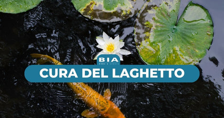 Cura del laghetto