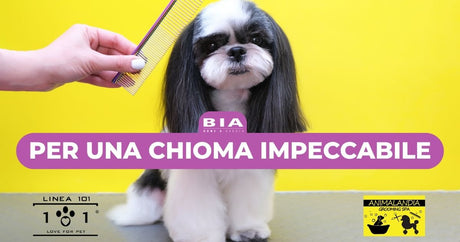 Per una chioma impeccabile