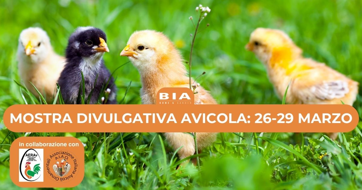 Mostra divulgativa avicola: 26-29 marzo