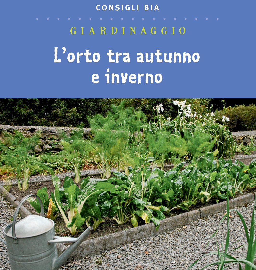 Orto tra autunno e inverno