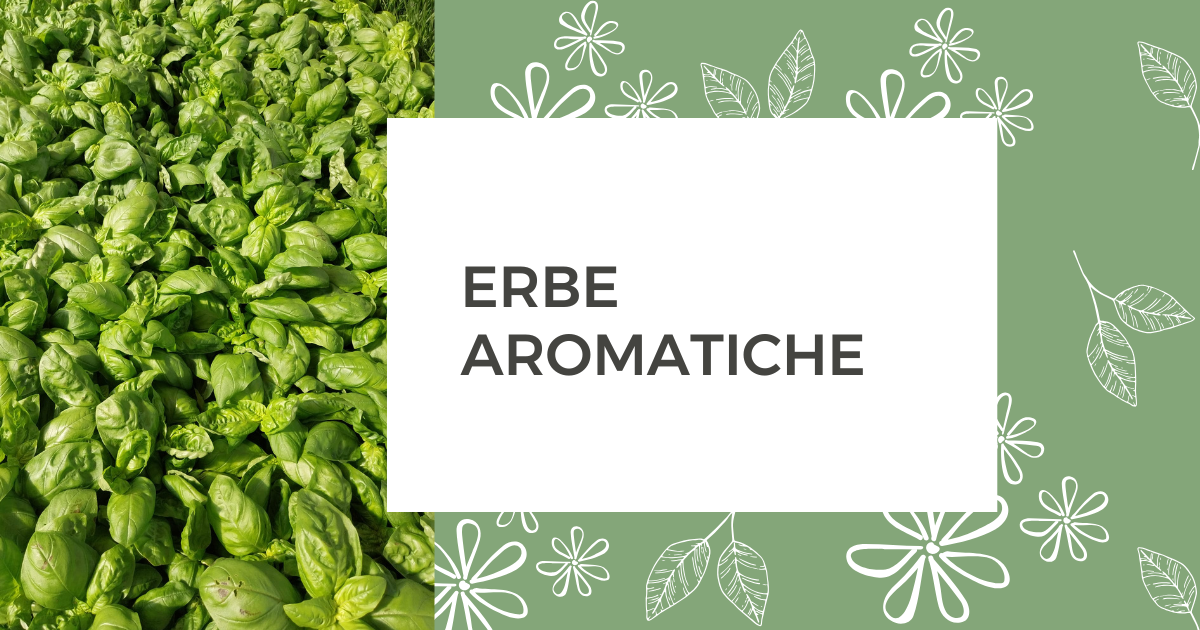 Erbe aromatiche