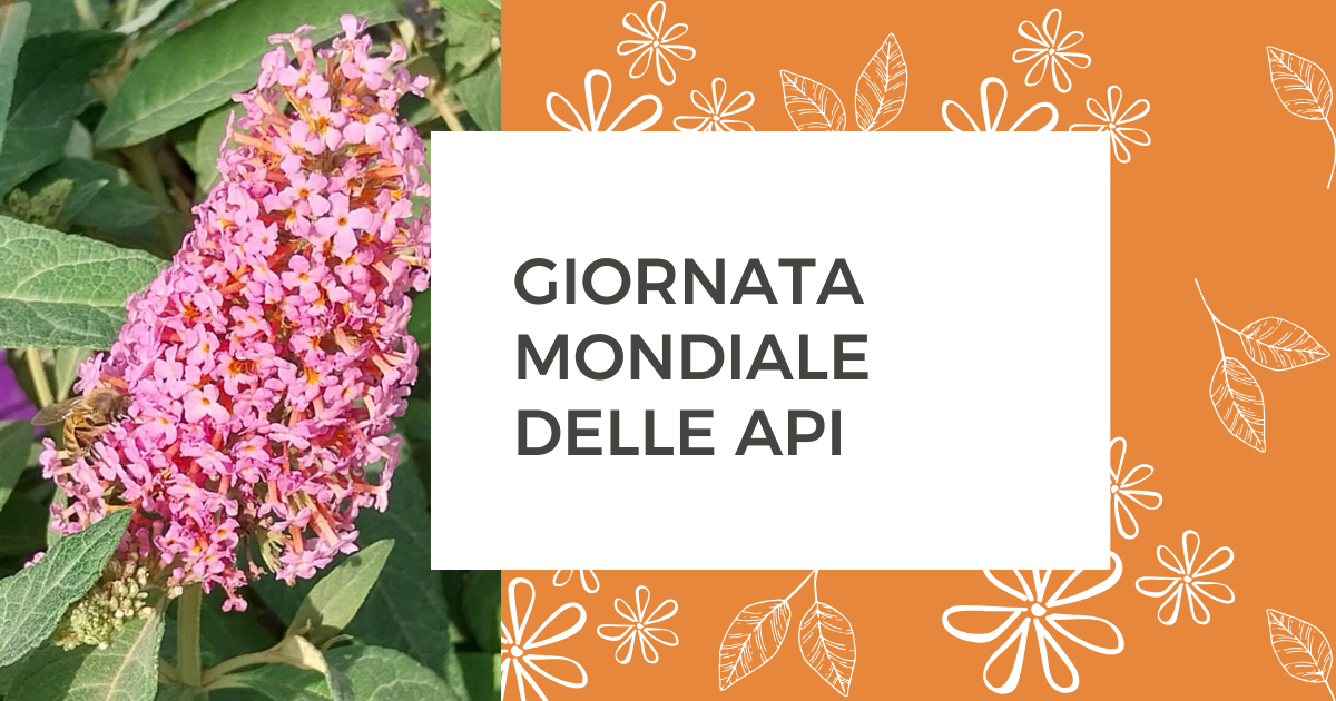20 maggio Giornata mondiale delle api