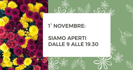 1° novembre: siamo aperti!