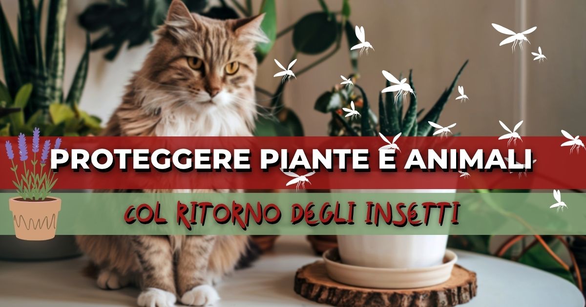 Aprile è il mese degli insetti: cosa cambia per animali e piante (e come proteggere entrambi)