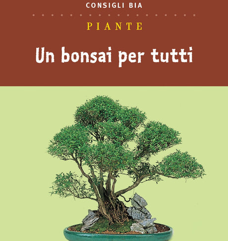 Un bonsai per tutti