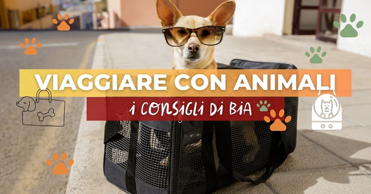 Come viaggiare con gli animali: consigli utili per un viaggio sereno