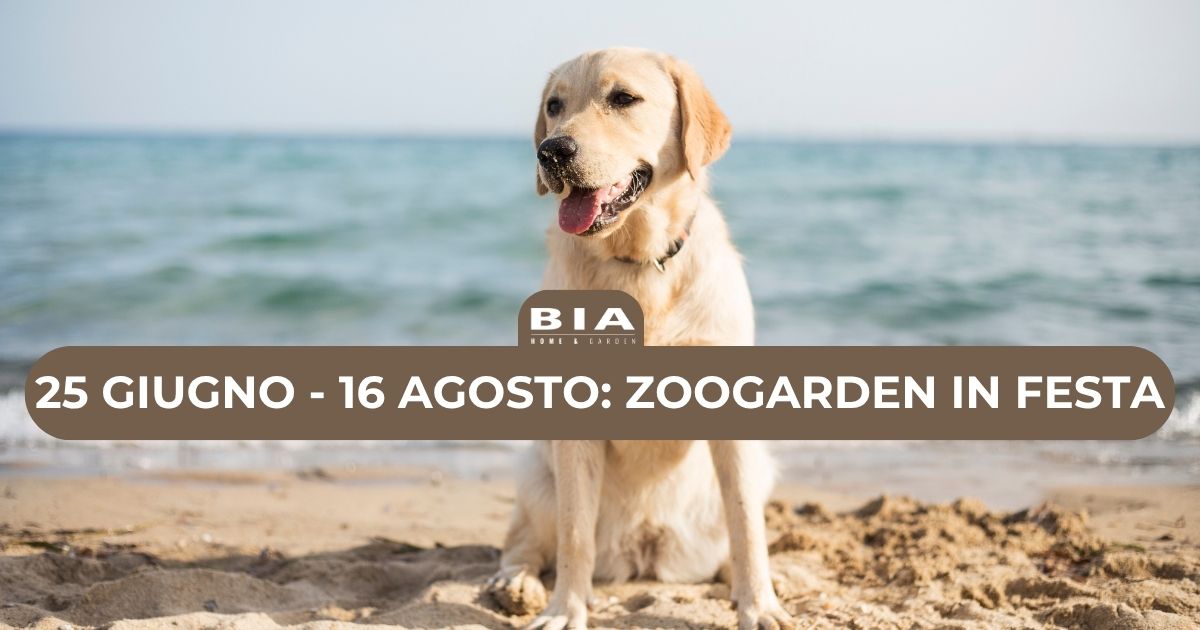 25 giugno - 16 agosto: Zoogarden in festa