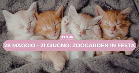 28 maggio - 21 giugno: Zoogarden in festa