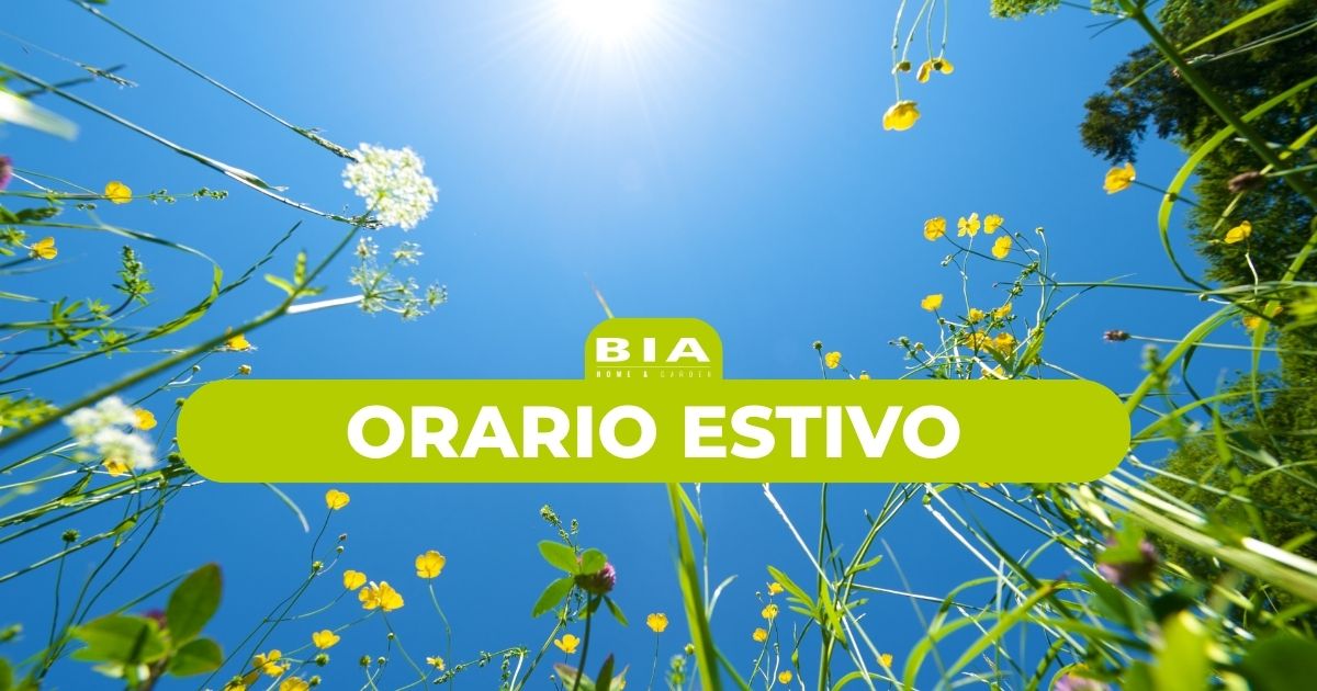 Orario estivo