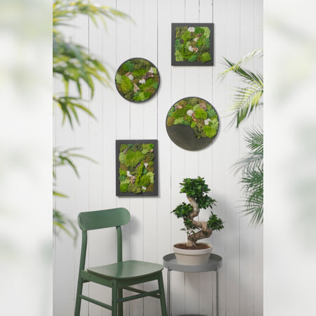 Quadro tondo con elementi naturali stabilizzati Ø 56 cm