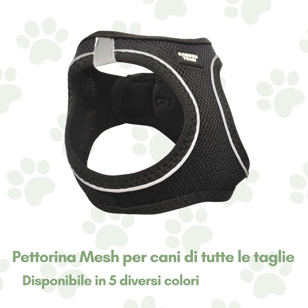 Mesh - Pettorina per cani di tutte le taglie