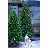 Ottawa Albero di Natale con LED Solare PE/PVC