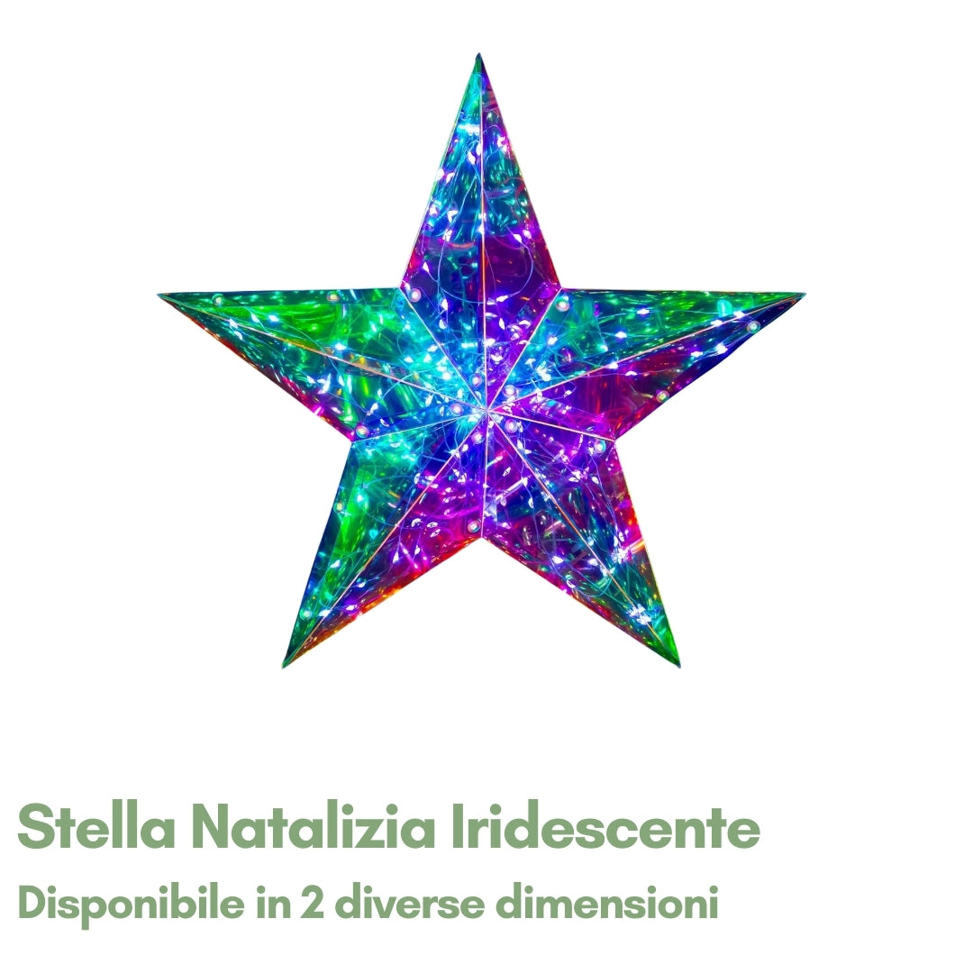 Stella Natalizia Iridescente - Addobbo Luminoso da Interno