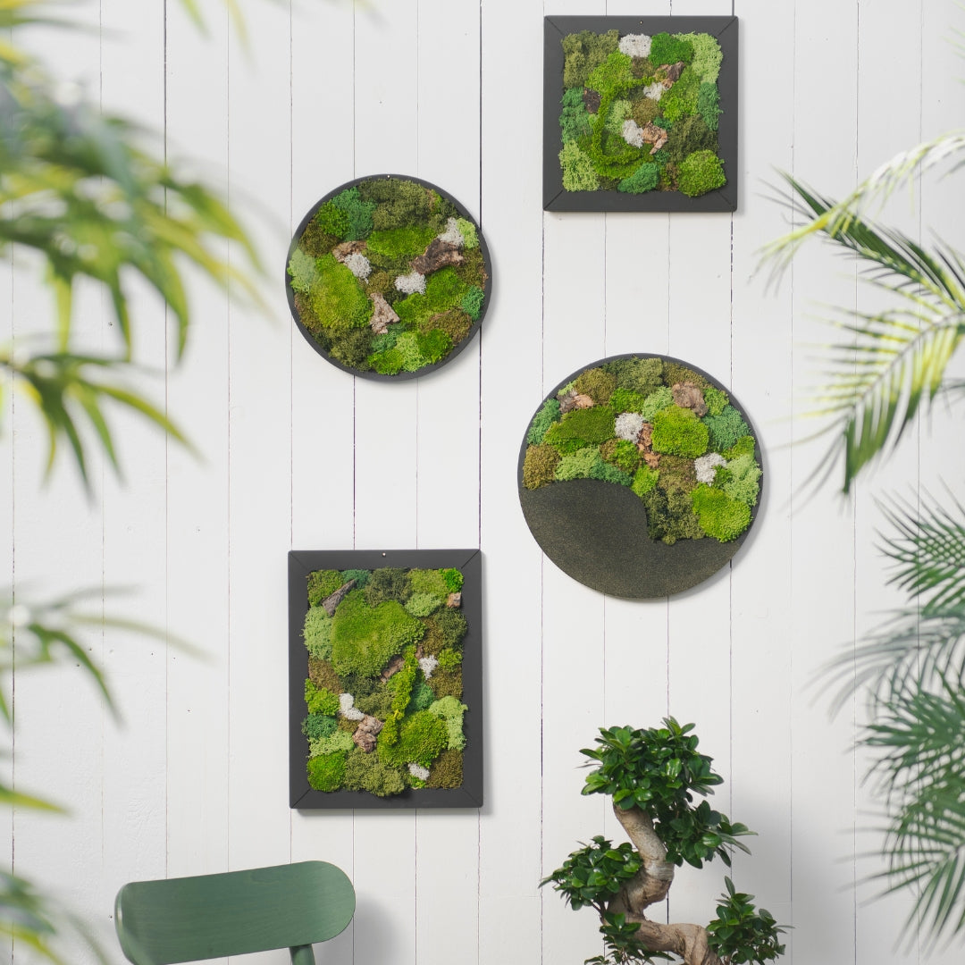 Quadro tondo con elementi naturali stabilizzati Ø 56 cm