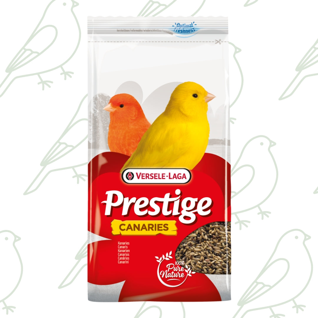 Prestige Canaries - Semi di alta qualità per canarini