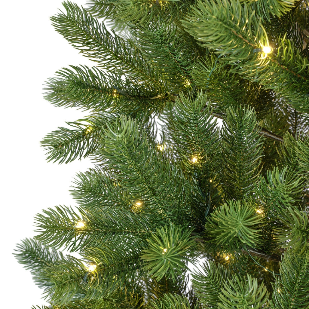Kanmore a Led - Albero di Natale con luci