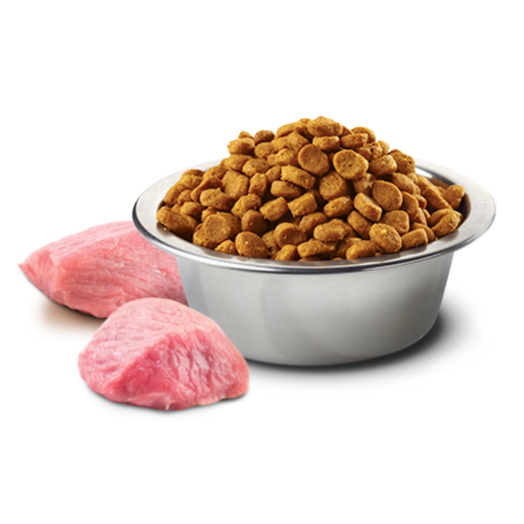 Crocchette alla Zucca Cani Taglia Media 12kg - Farmina agnello zucca e mirtillo