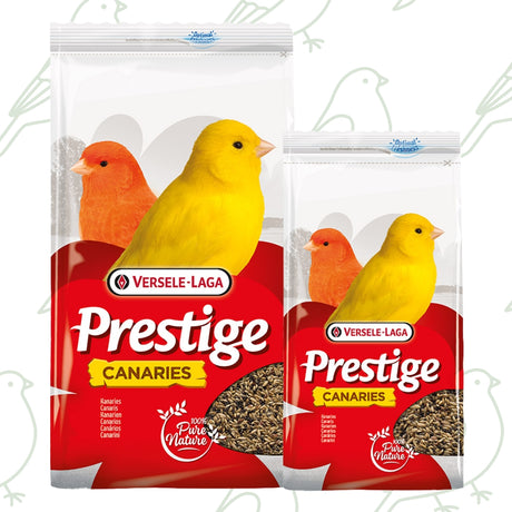 Prestige Canaries - Semi di alta qualità per canarini