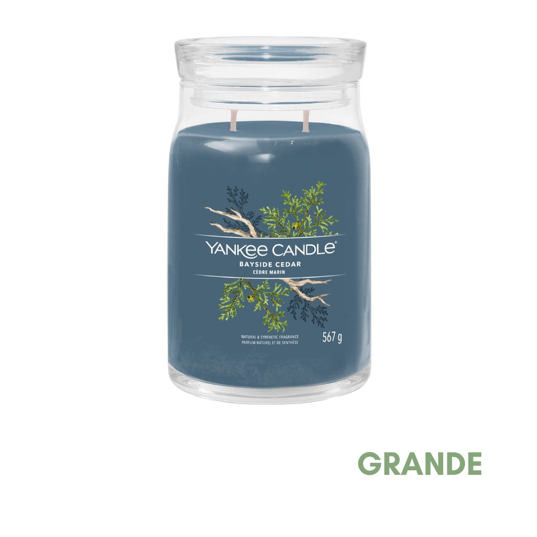 Yankee Candle Bayside Cedar