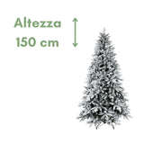 Montana - Albero di Natale con neve