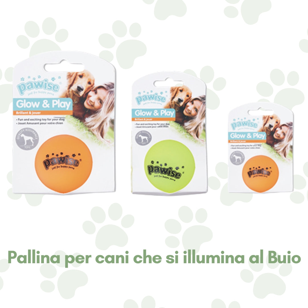 Pallina per cani che si illumina al Buio