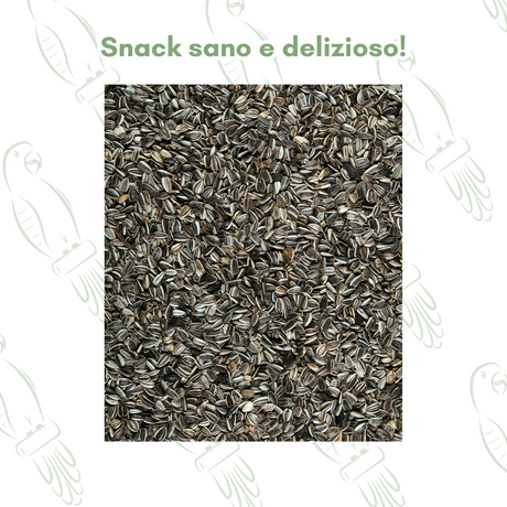 Semi di Girasole 1,5kg - Semi girasole per uccelli