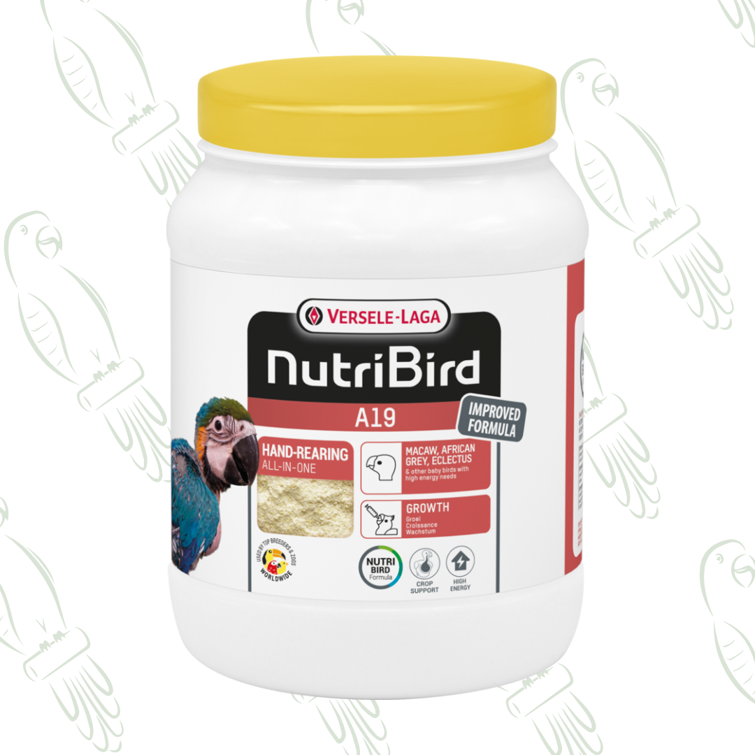 Nutribird A19 - Pappa da Imbecco per Ara Cenerini ed Ecletti