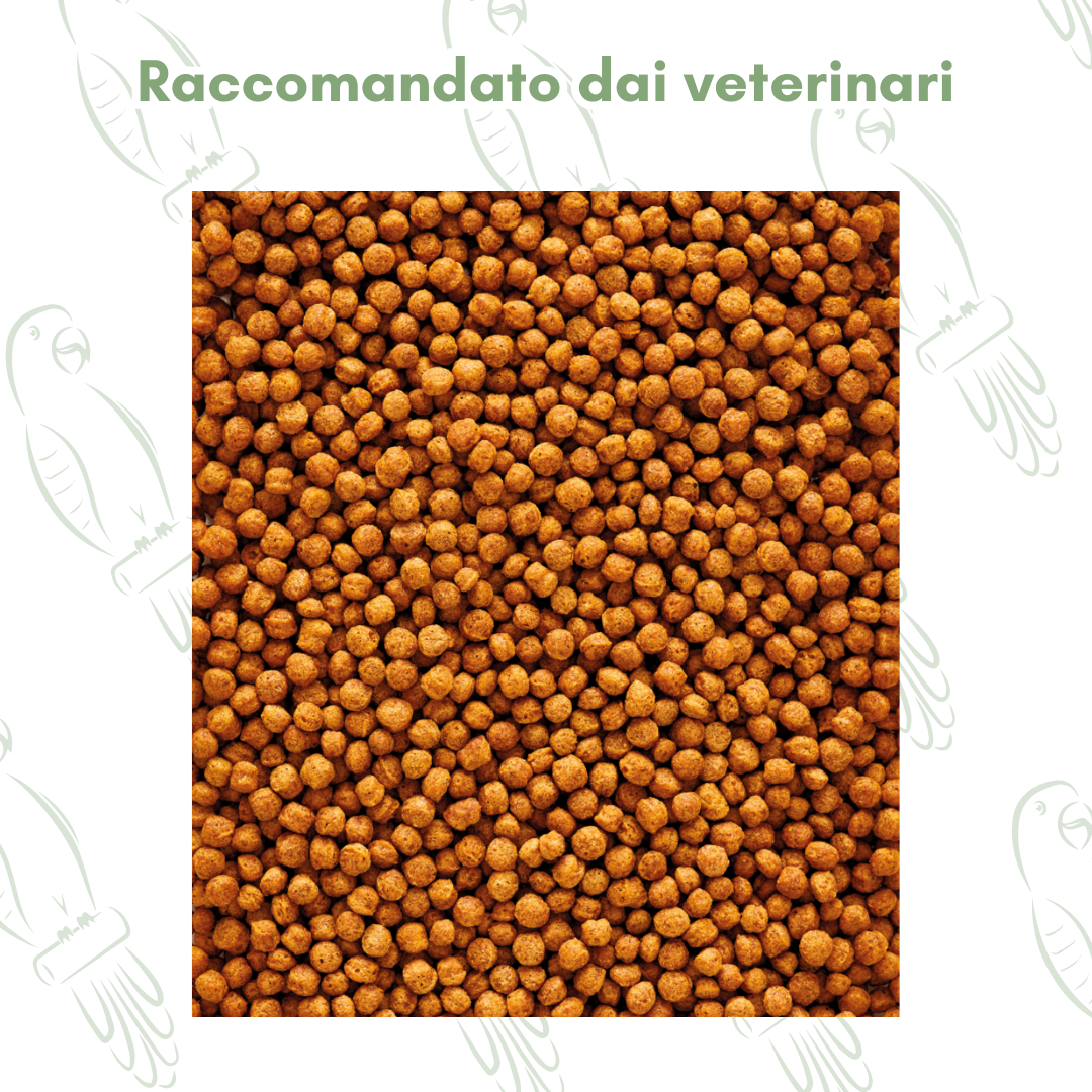 Nutribird F16 800g - Cibo per insettivori