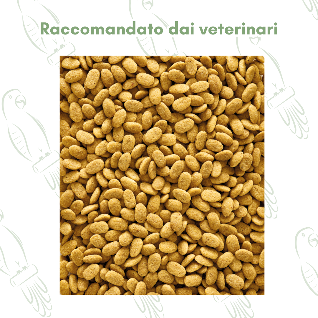 Nutribird P15 Original 1kg - Versele Laga pappagalli