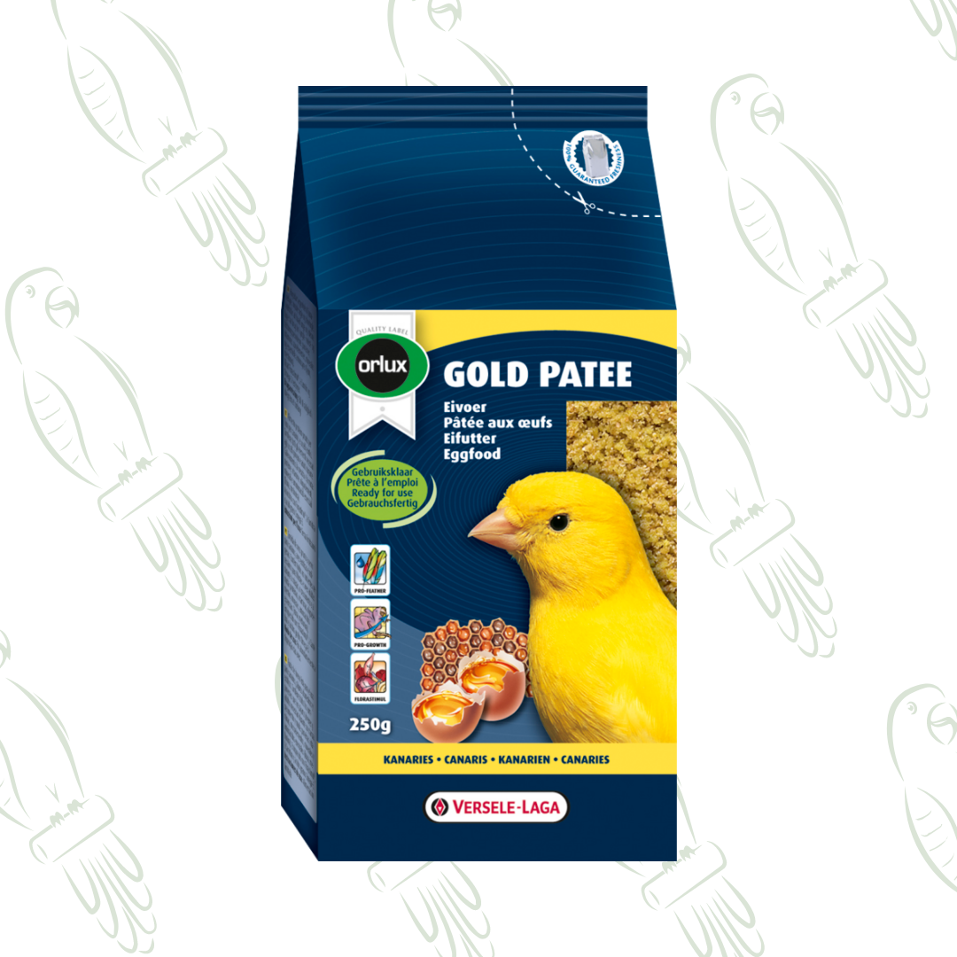 Gold Patè 250g - Pastoncino morbido per canarini