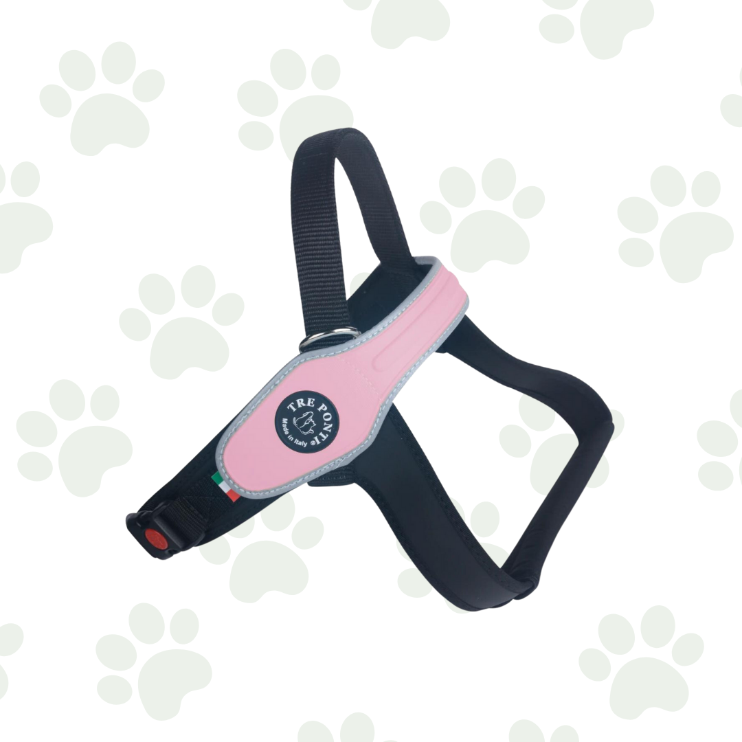 Primo Silver - Pettorina dorsale per cani rosa